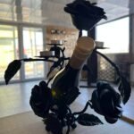 009_kovano_zhelyazo_art_lars__7