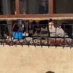 metalni_reshetki_za_prozortsi_art_lars_2